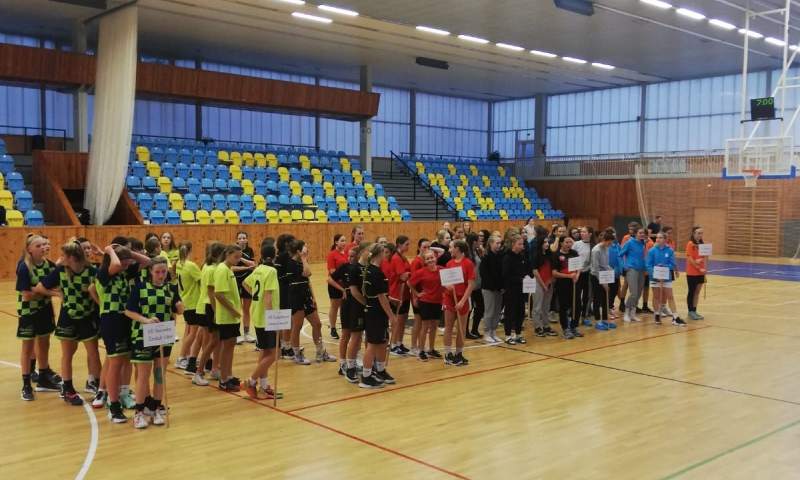 RF basket Louny 22